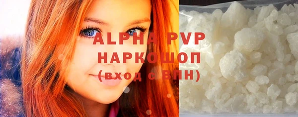 прущие грибы Вяземский