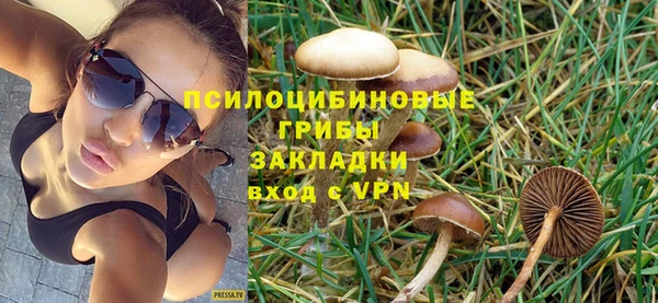 соль ск Горнозаводск